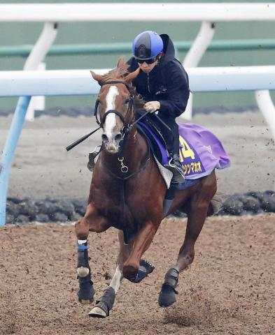 京王杯SCなど重賞5勝を挙げたトウシンマカオが競走馬登録を抹消　種牡馬入りへ