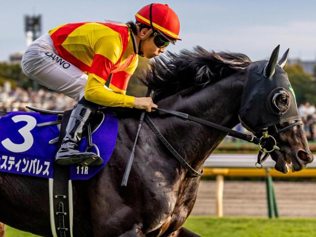 ジャパンCはスローで内枠有利か ジャスティンパレスの一発を期待