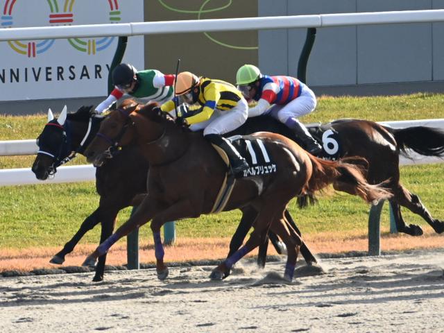 【栂尾特別レース後コメント】カペルブリュッケ斎藤新騎手ら