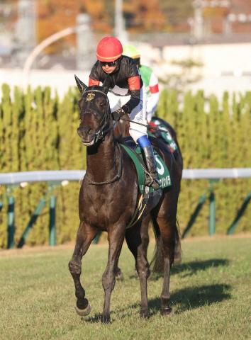 ڵ2S10ֿ͵Х餬2塡Ĺ֥åƤ