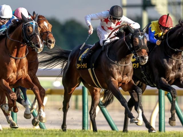 【キャピタルS結果】ミッキーゴージャスが追い比べを制す 昨年愛知杯以来のV