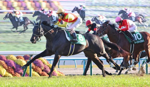 【京都2歳S】ジャスティンビスタ無傷2連勝で重賞初V　北村友一騎手「予想していたよりも、いい脚」