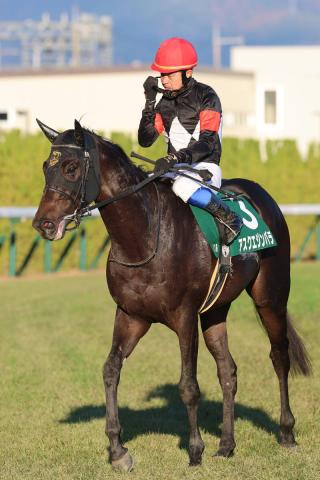 ڵ2Sۥ֡ӡ10ֿ͵Х2塡ʡĴաֺǸ˵ӤȤΤϲץۡץեS