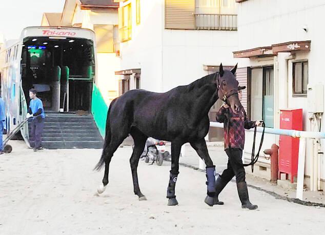 ڥѥCۥǥΡ뤬ӡƤϾ塡رġ֤Ȥͧ