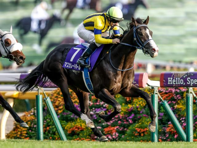 ڥѥCåۥޥ졼ɥܡ뤬2.9ܤ1ֿ͵