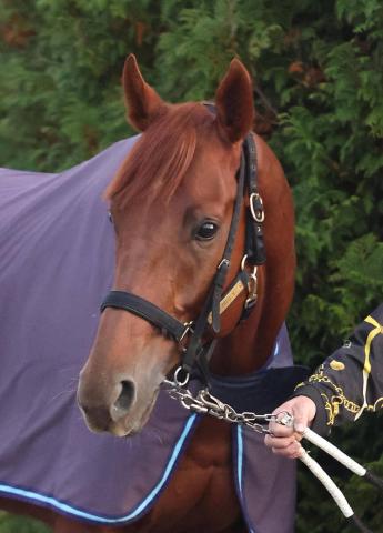 ڥѥCۥΥǥ뤬ӡƤ͢رġֺ褦˸