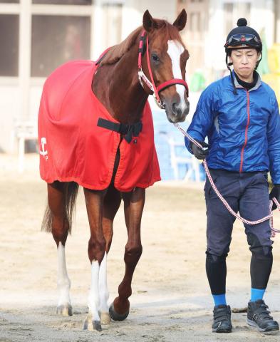 ڥѥCۥ󥨥ڥ顼ϥȥ֥ʤ塡رġ֥ꥺɤ٤Ƥʤ