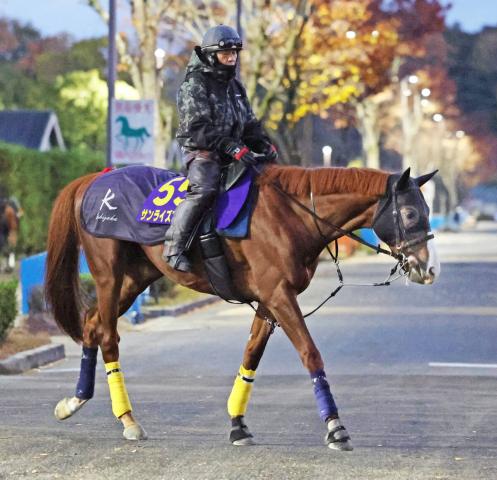 ڥѥCۡź꤬ؤ㤦٤ȡ׿رĤϹȯ饤Ϥء