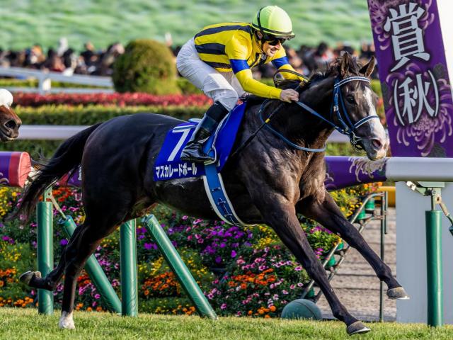 ߤʤϥޥ졼ɥܡ ѥC3ϢʣǾ