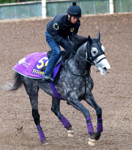 【ジャパンC】友道厩舎は東京芝2400メートルが「庭」　アドマイヤテラ&ヨーホーレイクの2頭出しで連覇狙う