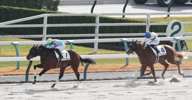 【京都新馬戦】バートラガッツ　断然人気に応えた!　C・デムーロ「これから楽しみ」