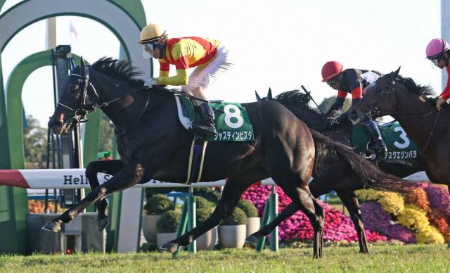 【京都2歳S】ジャスティンビスタ　鮮やか差し切り!　無傷2連勝でいざクラシック戦線へ