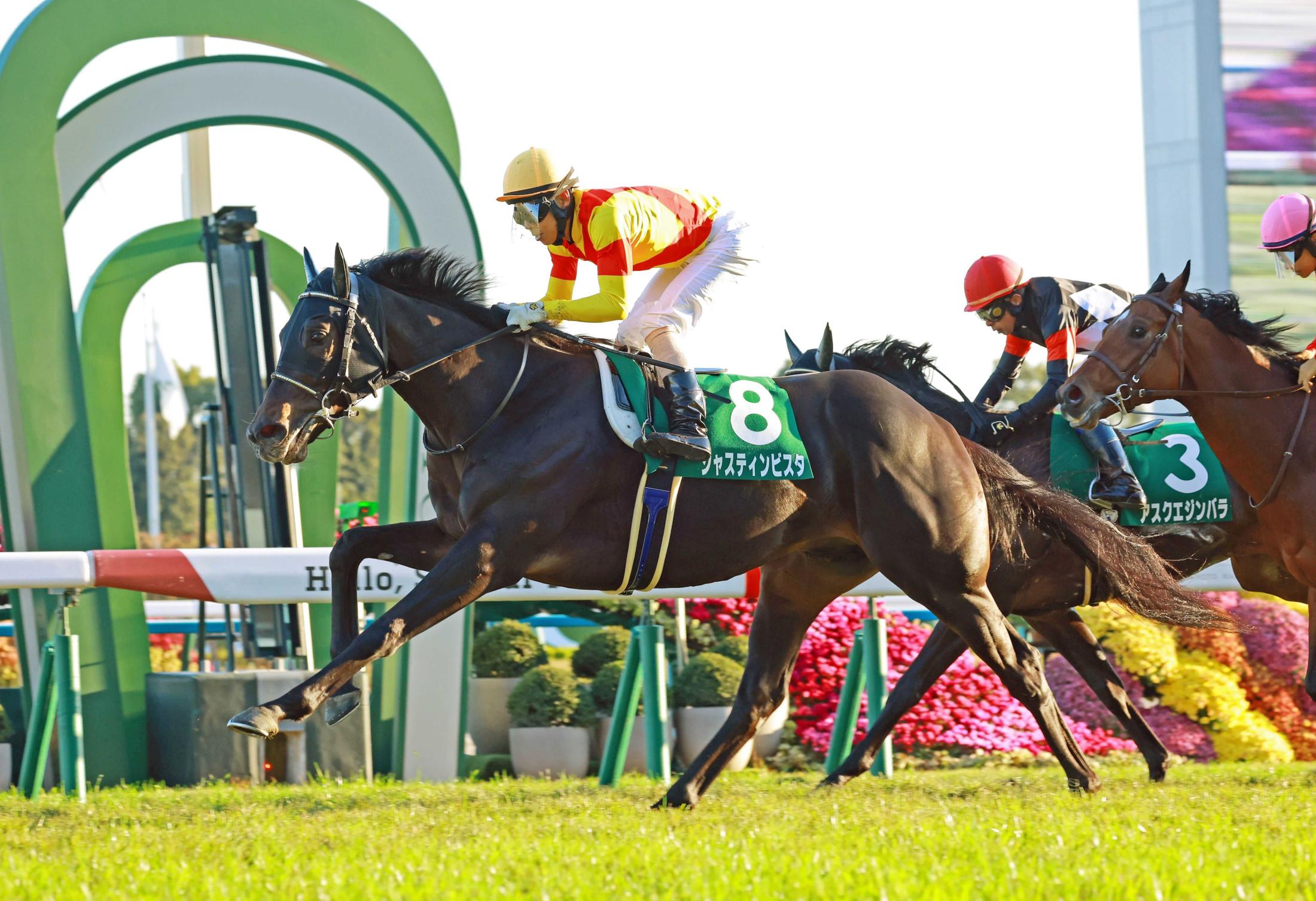 【京都２歳Ｓ】ジャスティンビスタ　末脚一閃！波乱呼んだ重賞初Ｖ　吉岡師「まだ全然未完成。伸びしろ大きい」