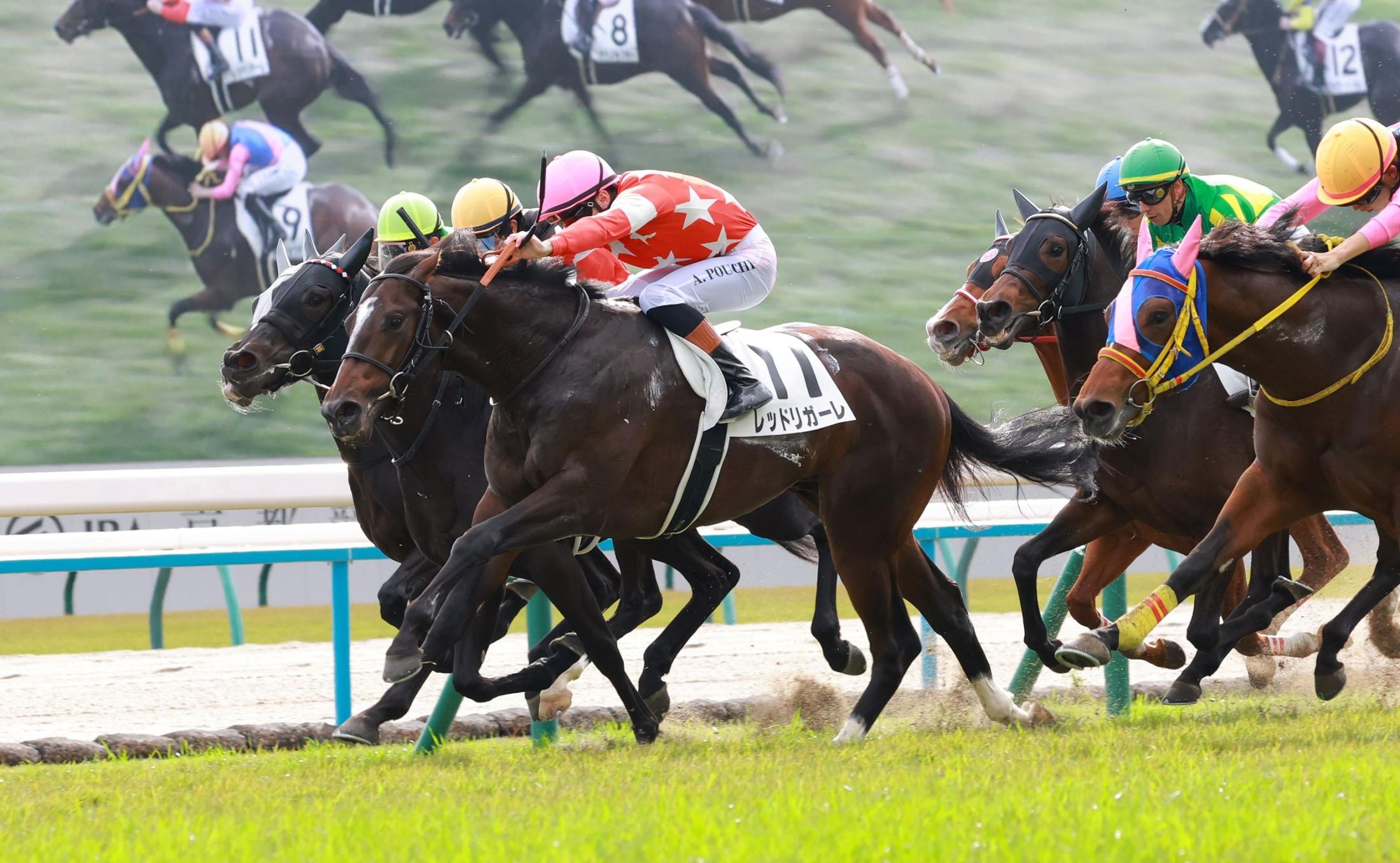 【新馬戦】レッドリガーレ　素質感じる初星　プーシャン「走る馬であることは間違いない。成長が楽しみ」