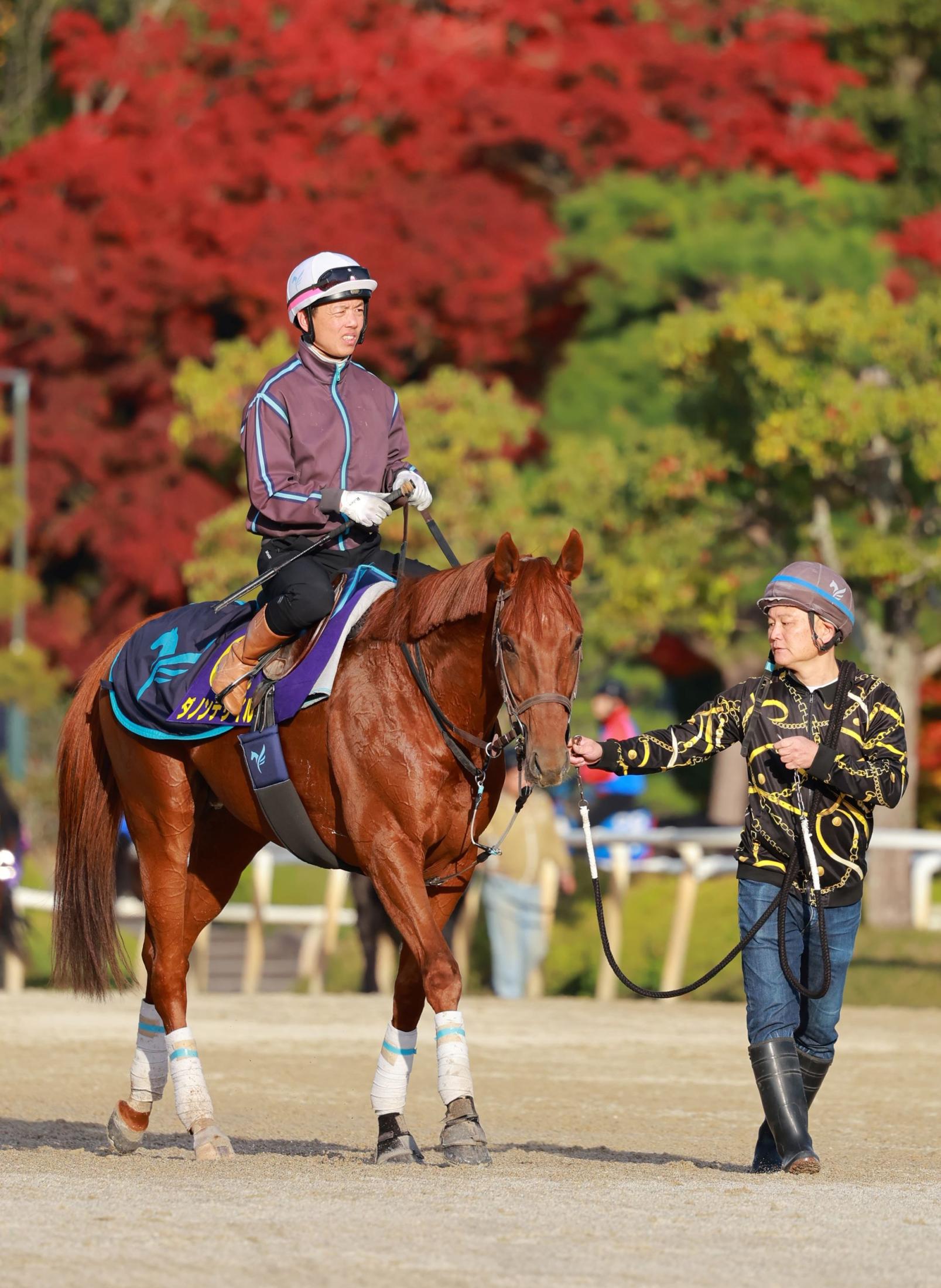 【ジャパンＣ】ダノンデサイル　２４年ダービー以来の府中入りも原口厩務員「落ち着いていました」