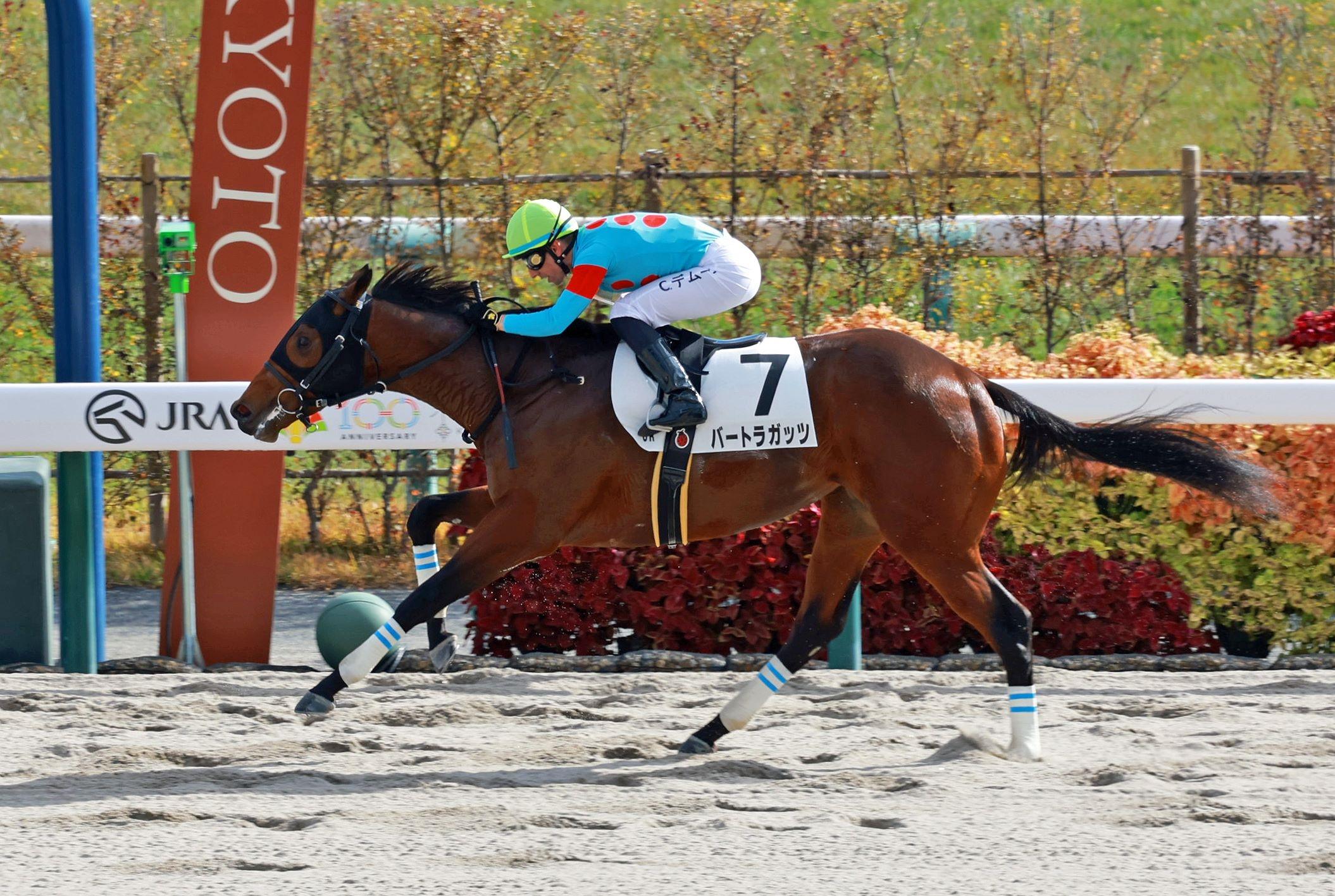 【新馬戦】バートラガッツ　文句なし快勝　Ｃ・デムーロも高評価「直線はいい脚。体は若いけど、楽しみ」