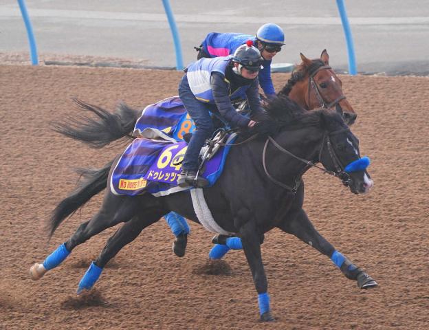 ジャパンC　ドゥレッツァ出走取消　JRAが発表