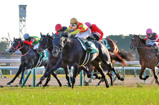 【京都2歳S・レースメモ】ジャパンCでクロワデュノール騎乗の北村友がジャスティンビスタで初制覇