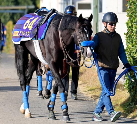 ֿäƤޤäġסְͽϤäΤˡīե׷⡡ɥåĥѥC˽