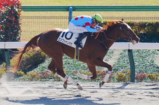 【東京5R・新馬戦】2番人気エジプシャンマウが逃げ切って初陣V　武井師「凄い根性を見せてくれた」