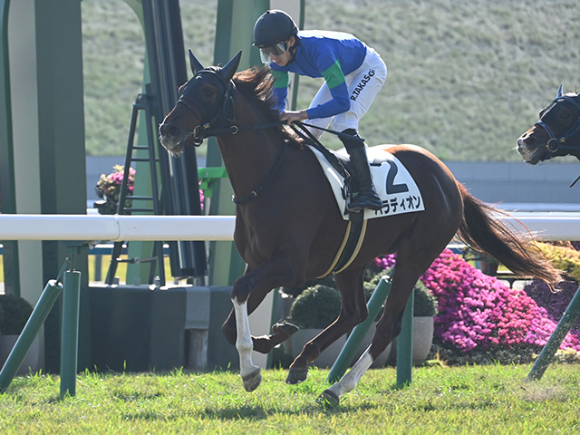 ڵ6R̡ۥ쥤ǥѥǥ͵˱V