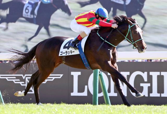 【東京6R・2歳新馬】鮮やか逃げ切りゴーラッキーのセンスを名手が絶賛　ルメール騎手「上手だったね」