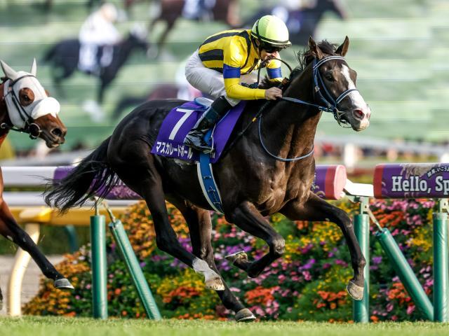 【ジャパンC・馬体重】マスカレードボールは470kg(±0)、クロワデュノールは512kg