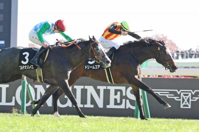 【東京8R・ベゴニア勝】母がG1馬の良血ドリームコアが接戦制す　レーン騎手「ポテンシャルある」