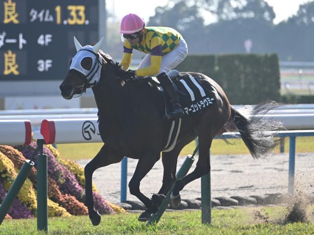 【白菊賞結果】マーゴットラヴミーが逃げ切り無傷の2連勝