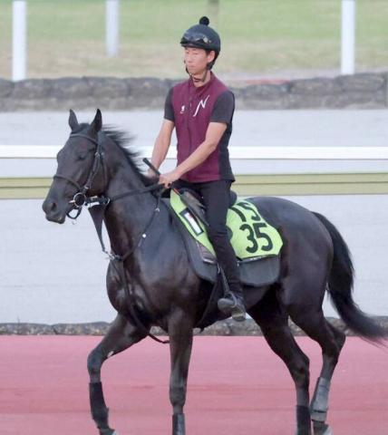 「偉大な姉の背中はまだ遠い..」「辛い」ネットに悲痛の声　非業の死遂げた馬の妹コニーアイランド連勝ならず