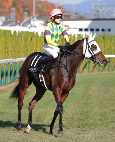 【京都9R・白菊賞】マーゴットラヴミーが鮮やか逃げ切りデビュー2連勝　中1週の阪神JFに登録へ