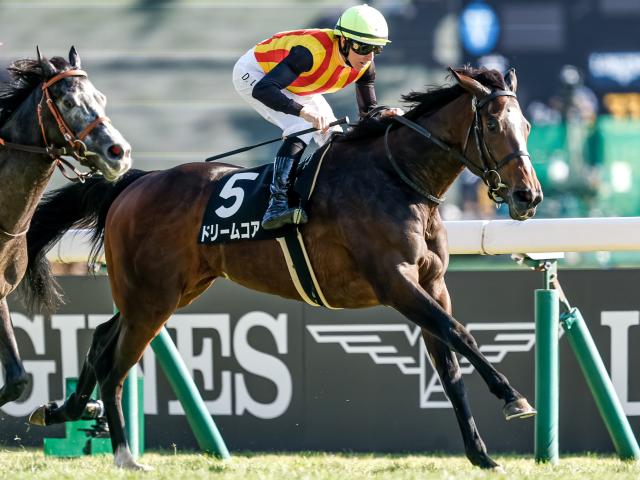 【ベゴニア賞レース後コメント】ドリームコア D.レーン騎手ら