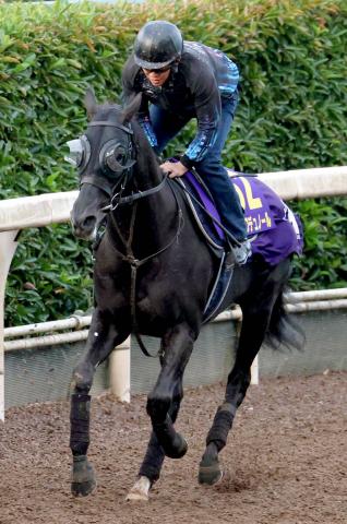 【ジャパンC】ダービー馬のクロワデュノール直線失速4着　凱旋門賞帰りの国内復帰戦を飾れず