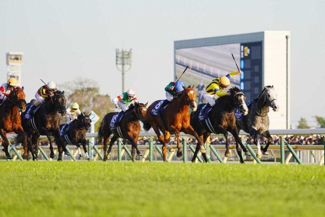 【ジャパンC】アドマイヤテラ川田が落馬…スタート直後に騒然　空馬“1着ゴール”世界1位カランダガンV