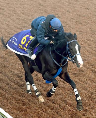 【ジャパンC】1番人気3歳マスカレードボールは惜しくも2着　ルメール騎手は歴代最多タイ5勝目ならず