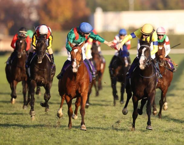 発馬で落馬→入線後に上位2頭も落馬→驚異のレコード決着ジャパンCに衝撃広がる「大丈夫?」「なんかえらい事」