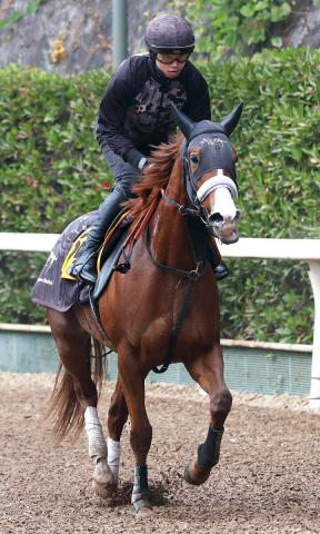 【京阪杯】ナムラクレアの妹ナムラクララは13着　重賞初制覇ならず　武豊騎手は単独最多4勝目お預け