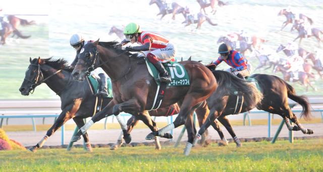 【京阪杯】エーティーマクフィが外から差し切って重賞初制覇　富田暁騎手は重賞2勝目