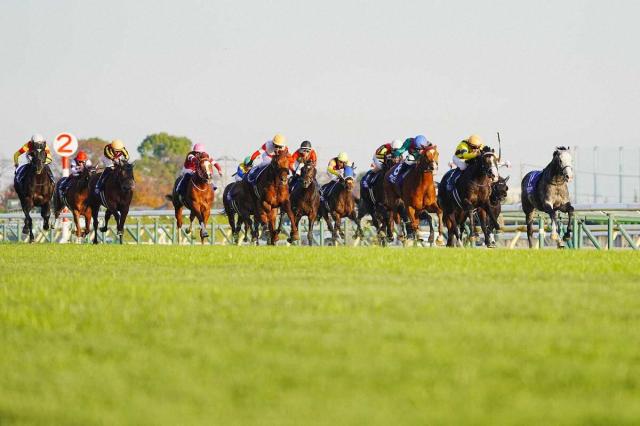 【ジャパンC】ダノンデサイルが3着　ゴール後には空馬避け戸崎が落馬　安田師「馬はビデオ見る限り…」