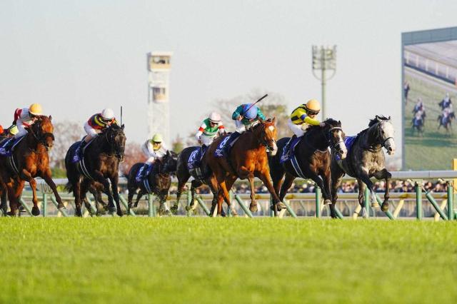 【ジャパンC】空馬を避け3着ゴール後に落馬…戸崎は松葉杖姿で気丈に「最後は力んだ分の差かなと思う」