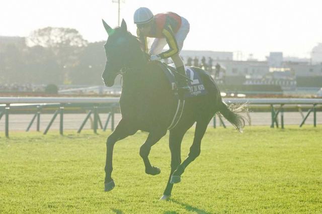 【ジャパンC】クロワデュノールは4着　北村友「短期間の中で偉い馬。1番強いということを信じています」