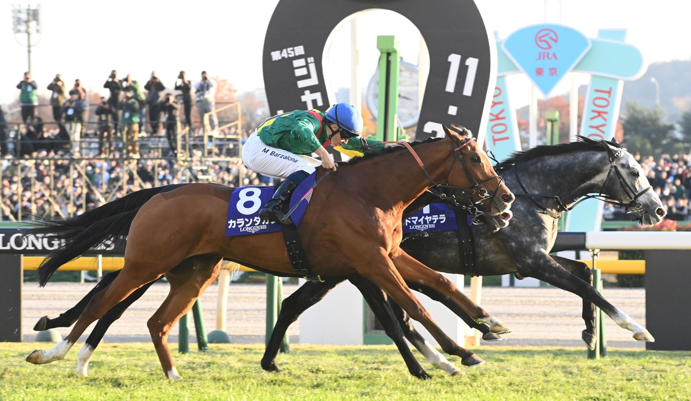 ѥäϤޤŸΥǥ³СӣΣӡֲäספץľ塢˷ףƬ