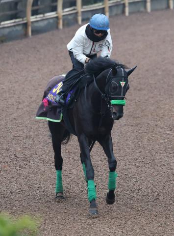 【ジャパンC】ジャスティンパレスは2年連続5着　ゴール前で伸びるもCデムーロ騎手「少しずぶさがありました」