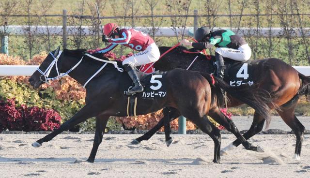 【京都11R・オータムリーフS】9番人気ハッピーマンが追い比べを制してV　高杉吏麒騎手「流れも向いて」