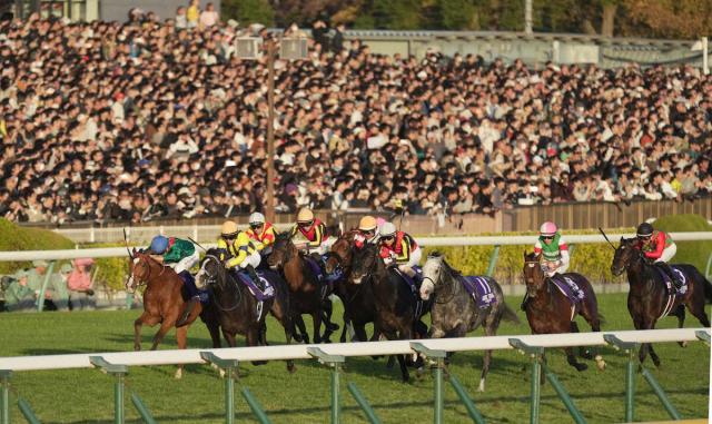 【ジャパンC】タスティエーラ7着　レーン「空馬の影響で気持ちが崩れたが盛り返して頑張ってくれた」