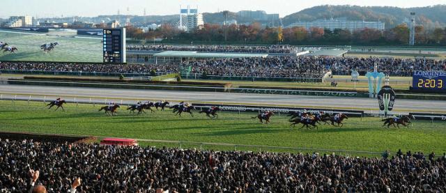 【ジャパンC】5番人気ジャスティンパレスは5着　C・デムーロ「年齢を重ねていることもあってか…」