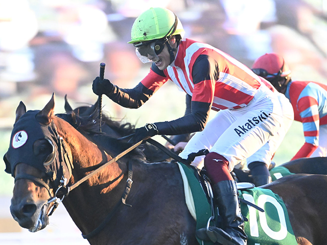 【京阪杯結果】7番人気エーティーマクフィが差し切り重賞初制覇