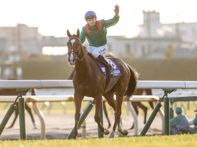 【ジャパンCレース後コメント】カランダガン M.バルザローナ騎手ら