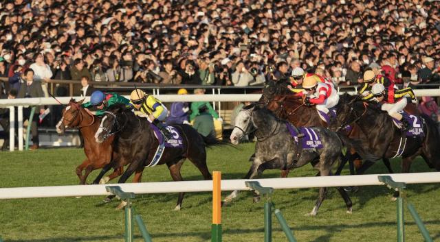 【ジャパンC】アンカツさん「完全にターフ世界最強」カランダガン称賛「アレっ」「素軽っ」「やられた」