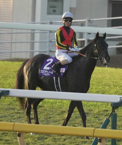 ڥѥCۥǥΡ4塡¼ͧû֤ǰΤϡ1ֶȤȤ򿮤Ƥޤ